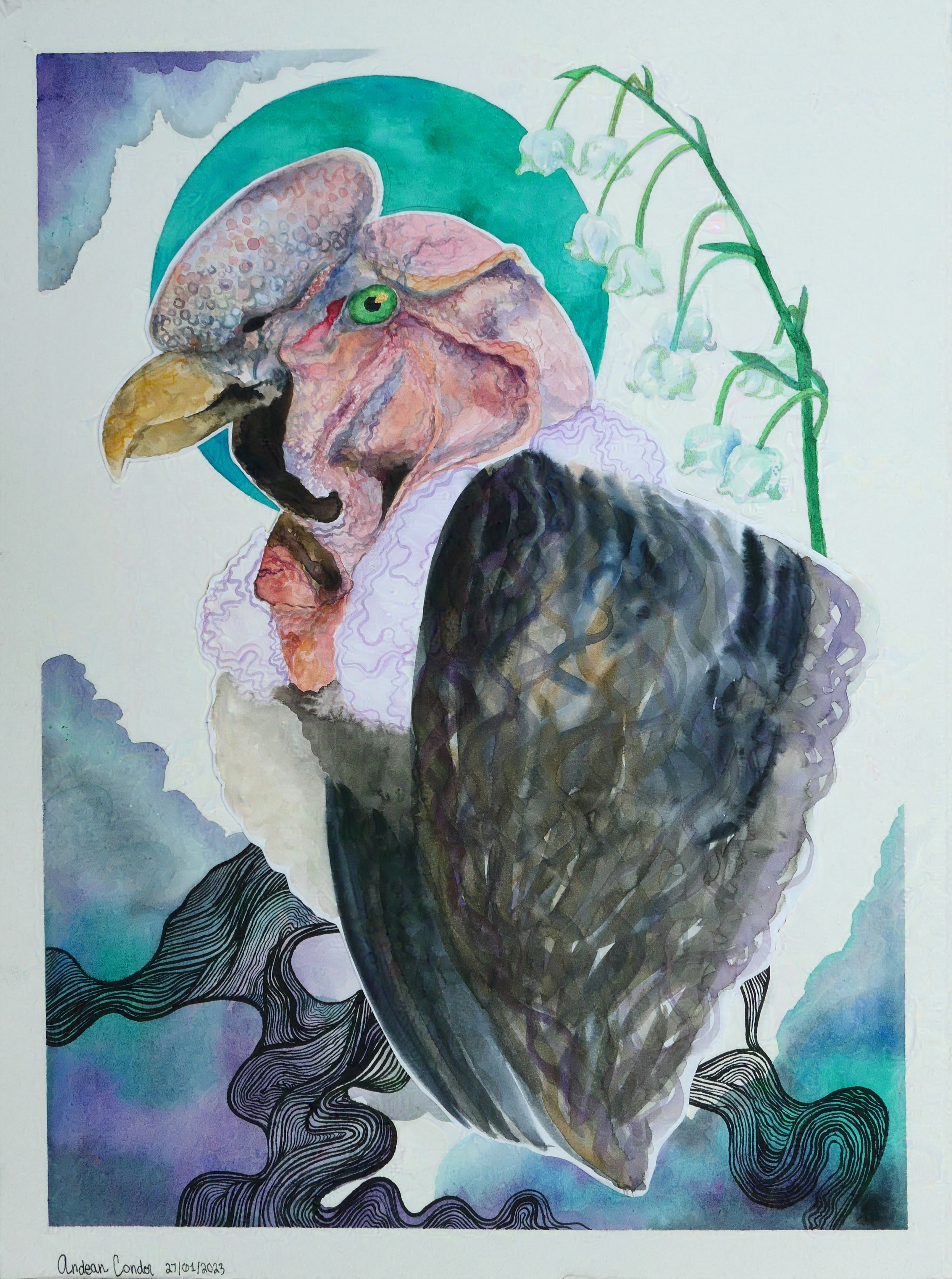 an andean condor in profile painted in watercolor